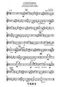 Song From A Secret Garden - Cantoluna для скрипки с фортепиано - Партия - первая страница