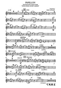 Song From A Secret Garden - Papillon для скрипки с фортепиано - Партия - первая страница