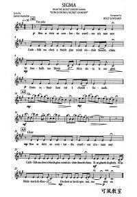 Song From A Secret Garden - Sigma для скрипки с фортепиано - Партия - первая страница